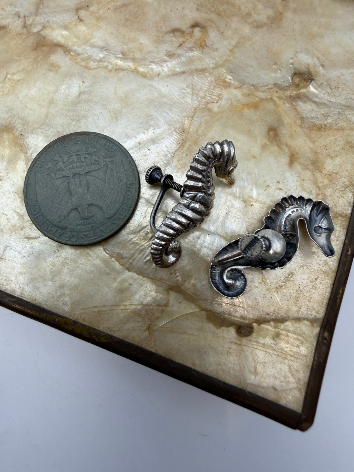 .925 Seahorse Screwbacks