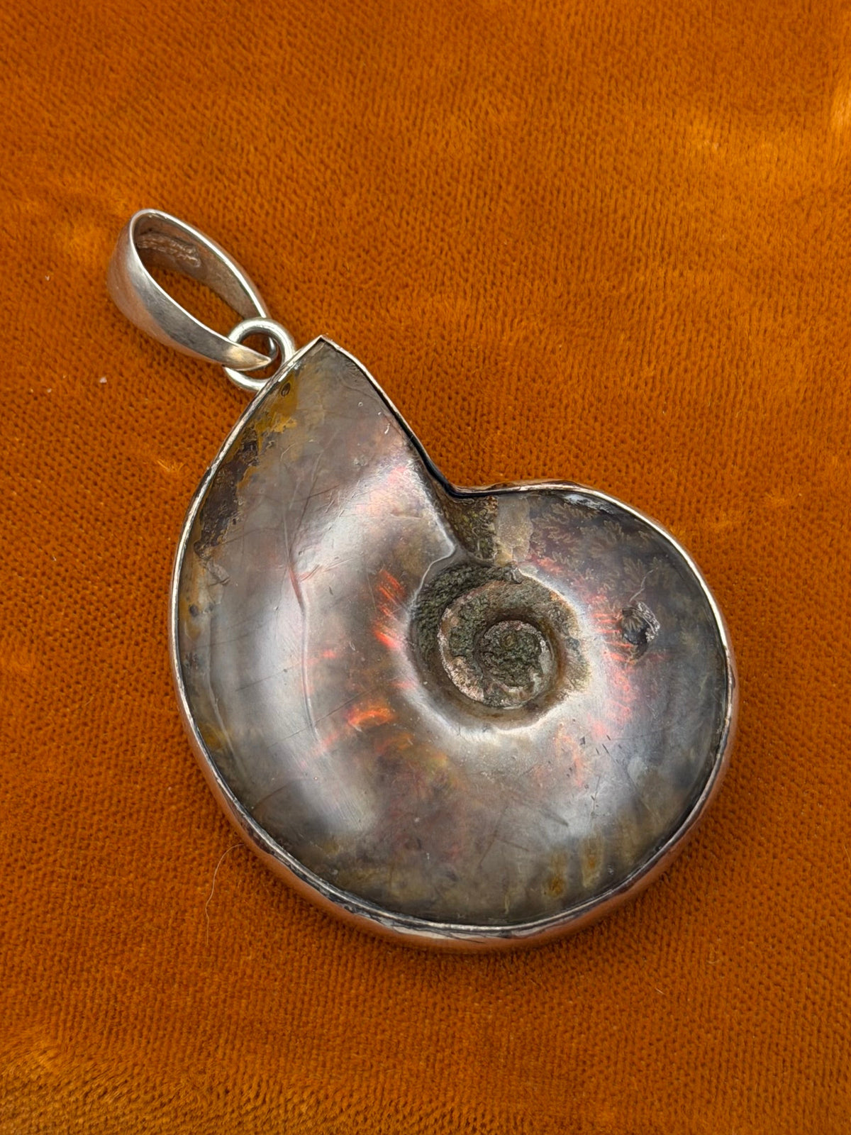 .925 Ammonite