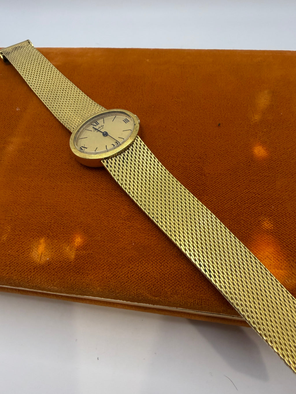 Gold Plated 1960/70 Geneva Watch