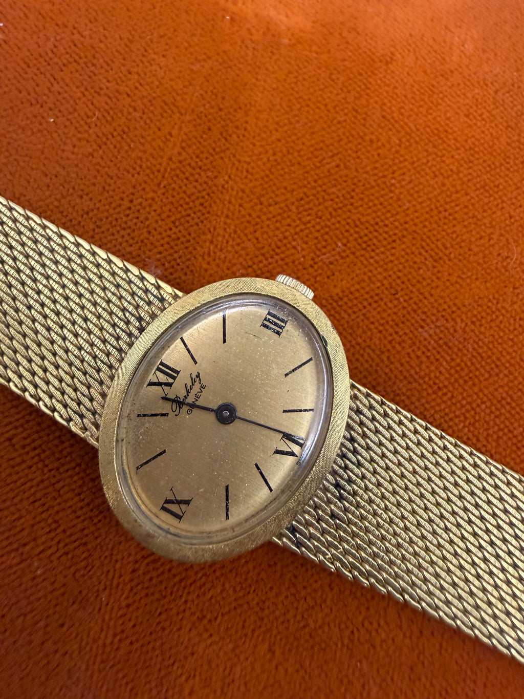 Gold Plated 1960/70 Geneva Watch