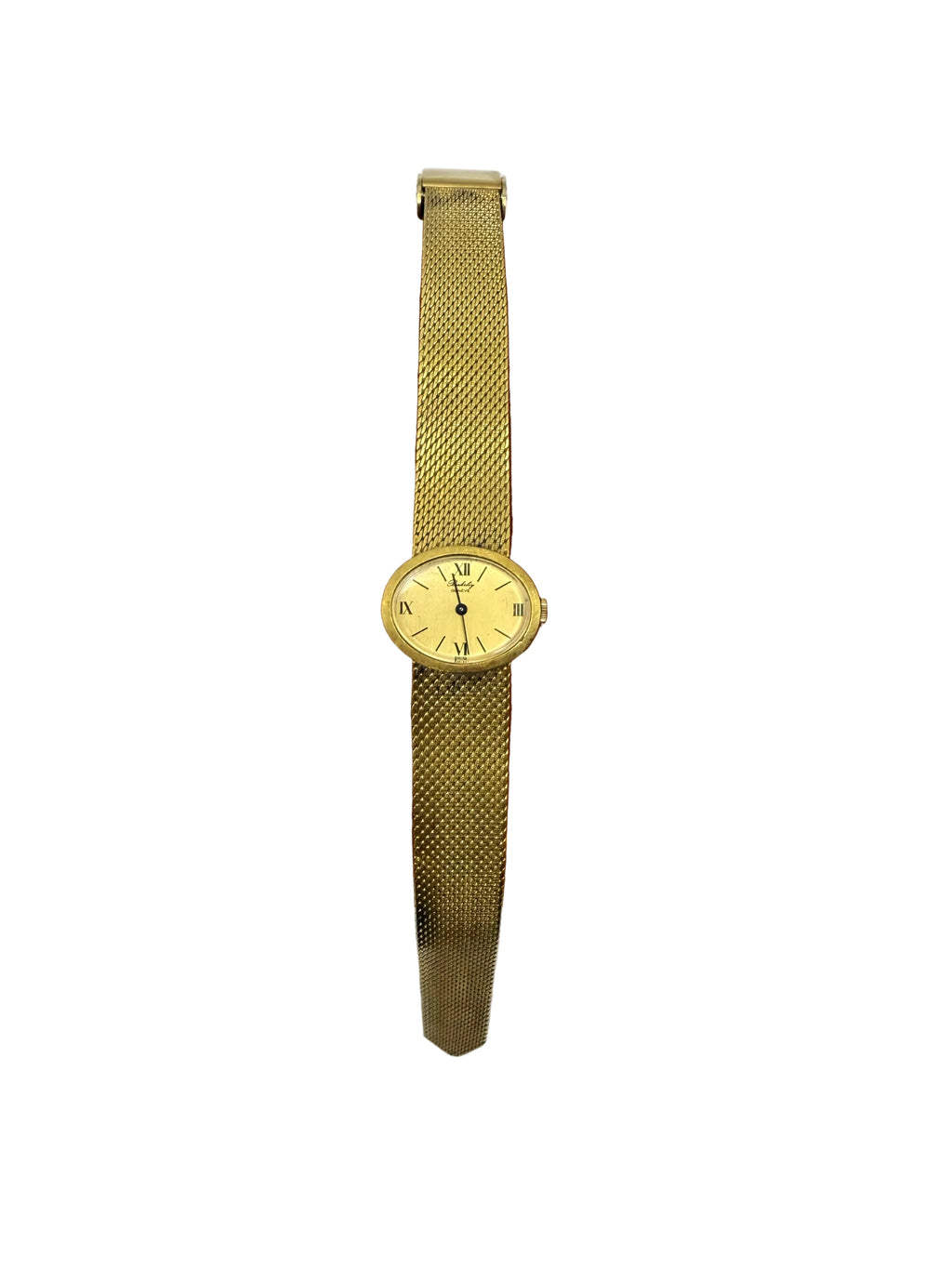 Gold Plated 1960/70 Geneva Watch